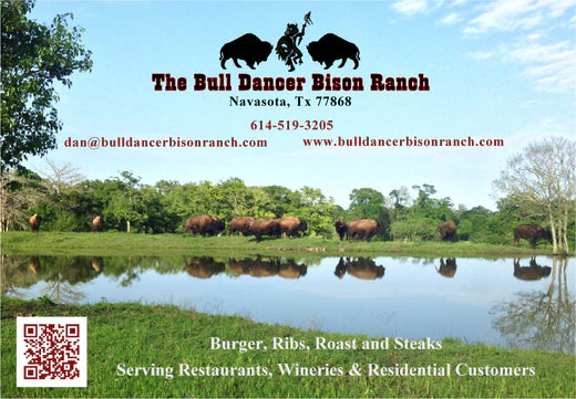 Bull Dancer Bison Ranch - Navasota, TX